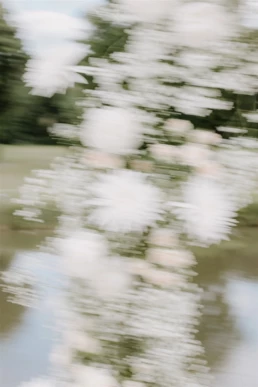 blurry bloemenfoto